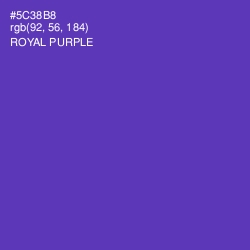 #5C38B8 - Royal Purple Color Image