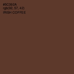 #5C392A - Irish Coffee Color Image