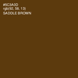 #5C3A0D - Saddle Brown Color Image
