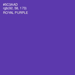 #5C3AAD - Royal Purple Color Image