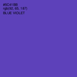 #5C41BB - Blue Violet Color Image