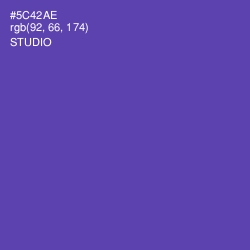 #5C42AE - Studio Color Image