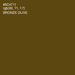#5C4711 - Bronze Olive Color Image