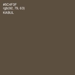 #5C4F3F - Kabul Color Image