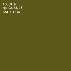 #5C5819 - Saratoga Color Image