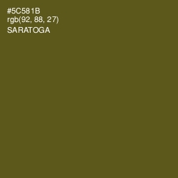 #5C581B - Saratoga Color Image