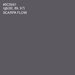 #5C5961 - Scarpa Flow Color Image