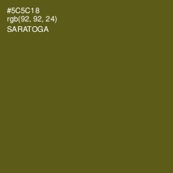 #5C5C18 - Saratoga Color Image