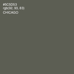 #5C5D53 - Chicago Color Image