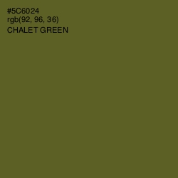 #5C6024 - Chalet Green Color Image