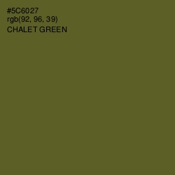 #5C6027 - Chalet Green Color Image