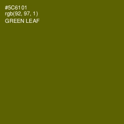 #5C6101 - Green Leaf Color Image