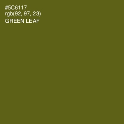 #5C6117 - Green Leaf Color Image
