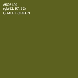 #5C6120 - Chalet Green Color Image