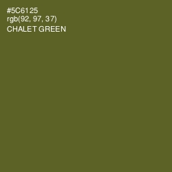 #5C6125 - Chalet Green Color Image
