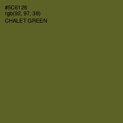 #5C6126 - Chalet Green Color Image