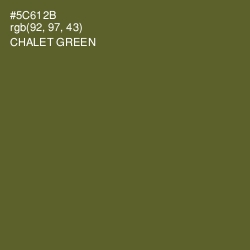 #5C612B - Chalet Green Color Image