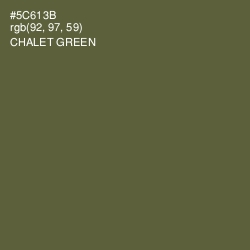 #5C613B - Chalet Green Color Image