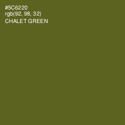 #5C6220 - Chalet Green Color Image