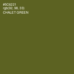 #5C6221 - Chalet Green Color Image