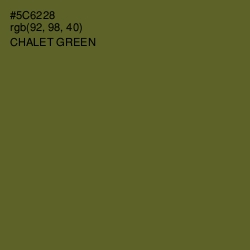 #5C6228 - Chalet Green Color Image