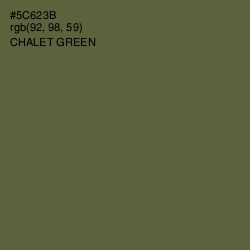 #5C623B - Chalet Green Color Image