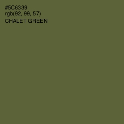 #5C6339 - Chalet Green Color Image