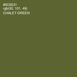 #5C6531 - Chalet Green Color Image