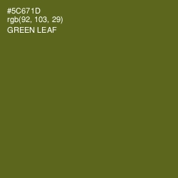 #5C671D - Green Leaf Color Image