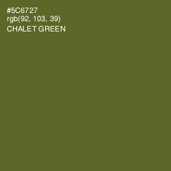 #5C6727 - Chalet Green Color Image