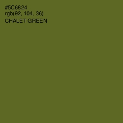 #5C6824 - Chalet Green Color Image