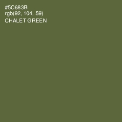 #5C683B - Chalet Green Color Image