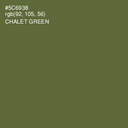 #5C6938 - Chalet Green Color Image