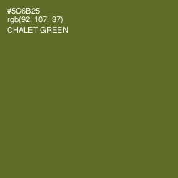 #5C6B25 - Chalet Green Color Image