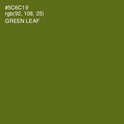 #5C6C19 - Green Leaf Color Image