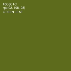 #5C6C1C - Green Leaf Color Image