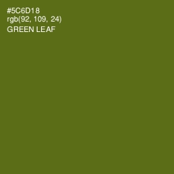 #5C6D18 - Green Leaf Color Image