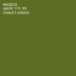 #5C6E23 - Chalet Green Color Image