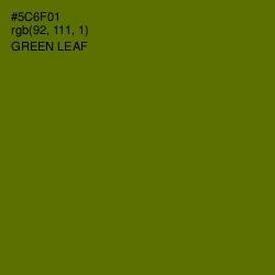 #5C6F01 - Green Leaf Color Image