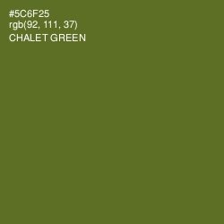 #5C6F25 - Chalet Green Color Image