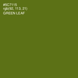 #5C7115 - Green Leaf Color Image