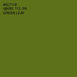 #5C7118 - Green Leaf Color Image