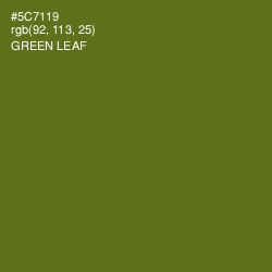#5C7119 - Green Leaf Color Image
