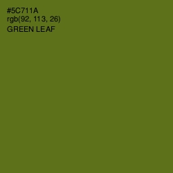 #5C711A - Green Leaf Color Image