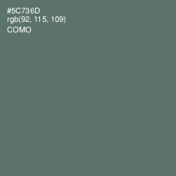 #5C736D - Como Color Image