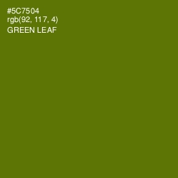 #5C7504 - Green Leaf Color Image