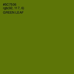 #5C7506 - Green Leaf Color Image