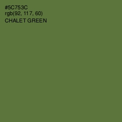 #5C753C - Chalet Green Color Image