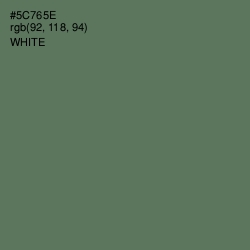 #5C765E - Cactus Color Image