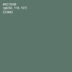 #5C766B - Como Color Image